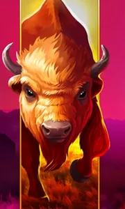 Big Wild Buffalo