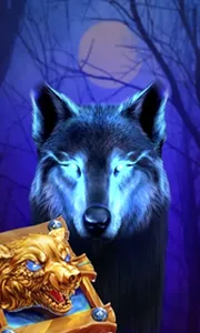 Book Of The Night Wolf